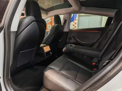 2025 Tesla Model 3 Model Rear-Wheel Drive Edition, фото 4, лот 10356663