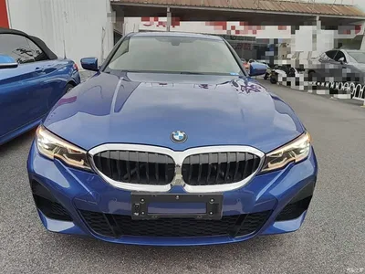 2021 BMW 3 Series 320Li M Sport Package, фото 3, лот 10458051