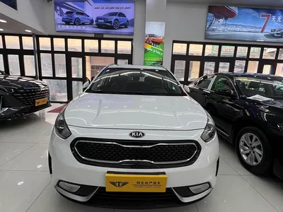 2017 Kia Niro 1.6L Luxury Edition, фото 2, лот 10334012
