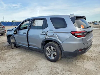 2025 HONDA PILOT EXL, фото 2, лот 10699353