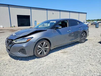 2023 NISSAN MAXIMA SV, фото 1, лот 10732451