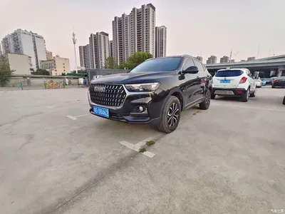 2023 Haval H6 National Trend Edition 1.5T Automatic Champion, фото 1, лот 10393376