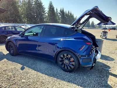 2023 TESLA MODEL Y, фото 2, лот 10852308