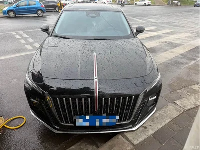2025 Hongqi H5 2.0T Automatic Flag Celebration 500,000 Units Anniversary Edition, фото 2, лот 10304138