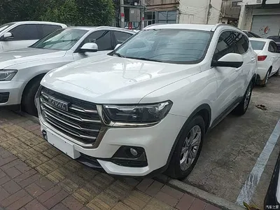 2021 Haval H6 Model National Trend Edition 1.5T Auto Champion, фото 1, лот 10285355