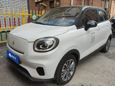 2024 Leapmotor T03 310 Comfort Edition, фото 1, лот 10954966