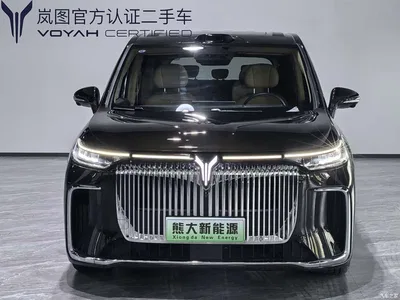 2025 Voyah Auto Voyah Dreamer Model PHEV 4WD Premium QianKun Edition, фото 2, лот 10358367