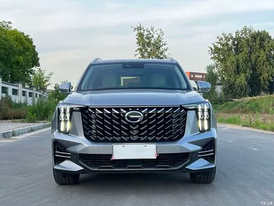 2022 GAC Trumpchi Trumpchi GS8 Pilot Series 2.0TGDI 2WD Luxury Smart Connect Edition (7-Seater), фото 2, лот 10417111