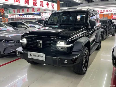2025 Tank 300 New Energy Hi4-T 36.7kWh Edition, фото 3, лот 10344912