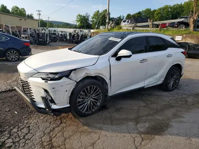2024 LEXUS RX 350 LUXURY, фото 1, лот 10846171