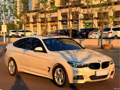 2019 BMW 3 Series GT 320i M Sport Package, фото 3, лот 11580701