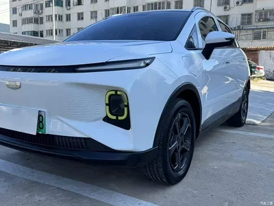 2022 Geely E Firefly 320KM Well-behaved Tiger 4-seater, фото 2, лот 11155713