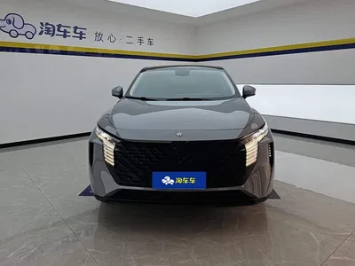 2023 Venucia Big V 260T Idol Edition Pro, фото 2, лот 11202736