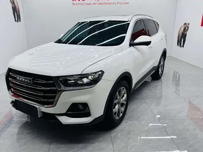 2021 Haval H6 Model National Trend Edition 1.5T Auto Champion, фото 1, лот 10306996