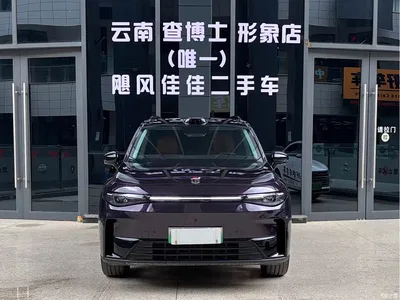 2024 Leapmotor C16 Extended Range 200 LiDAR Edition, фото 2, лот 10318332