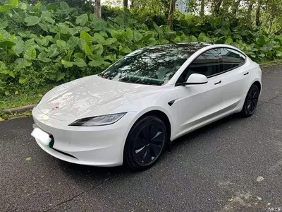 2023 Tesla Model 3 Rear-Wheel Drive, фото 1, лот 10369609