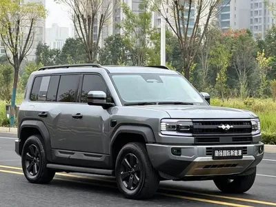 2026 Byd Leopard 5 Cloud Chariot Edition, фото 3, лот 10887679