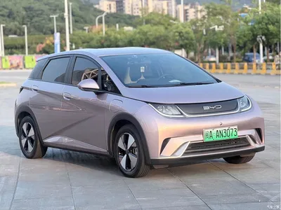 2021 BYD Dolphin 405km Freedom Edition, фото 3, лот 11547505