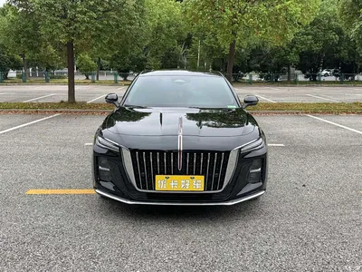 2025 Hongqi H5 2.0T Automatic Flag Celebration 500,000 Units Anniversary Edition, фото 2, лот 10285381