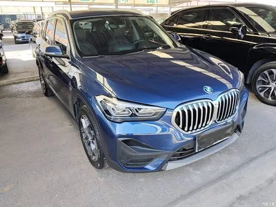 2021 BMW X1 sDrive25Li Leading, фото 4, лот 11067213