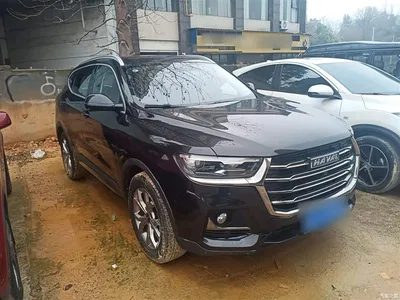 2021 Haval H6 Model National Trend Edition 1.5T Auto Champion, фото 4, лот 10287214