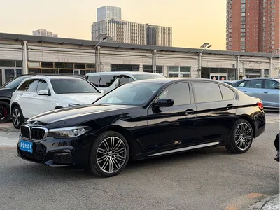 2019 BMW 5 Series 530Li Leading M Sport Package, фото 1, лот 10482634