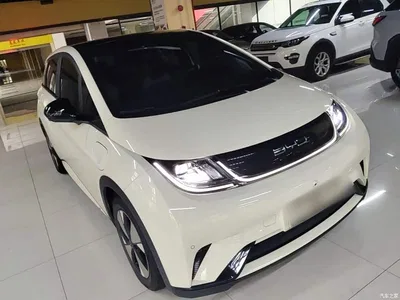 2023 BYD Dolphin 420km Fashion Edition, фото 4, лот 10259726