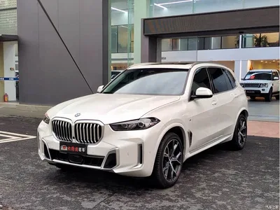 2023 BMW X5 xDrive 30Li Premium M Sport Package, фото 1, лот 10462893