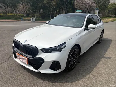 2025 BMW 5 Series 530Li Leading M Sport Package, фото 1, лот 10444572
