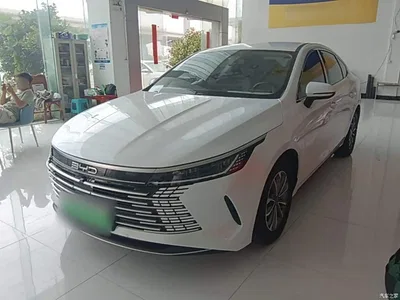 2024 BYD Destroyer 05 Glory Edition DM-i 55KM Luxury, фото 2, лот 10383273
