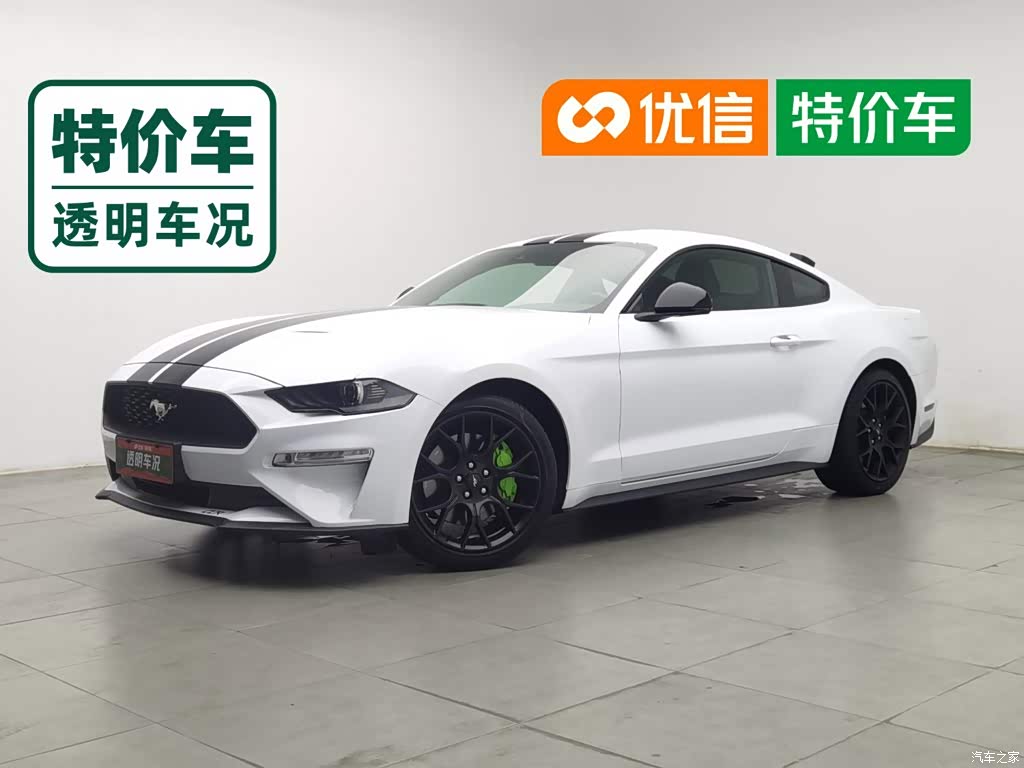 2019 Ford Mustang 2.3L EcoBoost, фото 1, лот 11222098