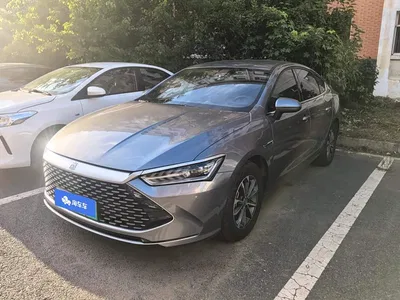 2023 BYD Qin PLUS Champion Edition DM-i 55KM Leading, фото 1, лот 10363540