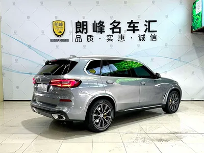 2022 BMW X5 xDrive 30Li Premium M Sport Package, фото 4, лот 10462702