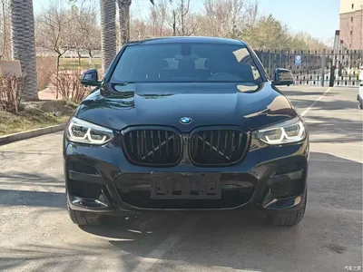 2020 BMW X4 xDrive25i M Sport Package, фото 2, лот 10430372