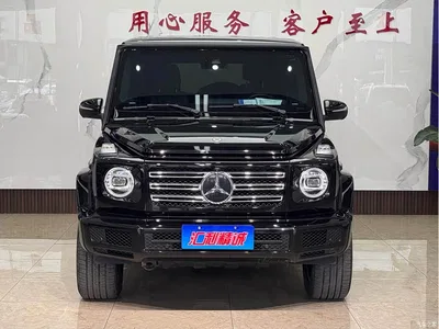 2019 Mercedes-Benz G-Class Facelift G 500, фото 2, лот 11012071