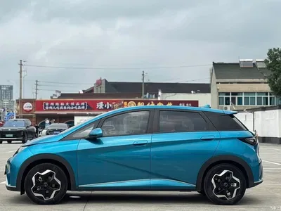 2021 BYD Dolphin 405km Freedom Edition, фото 3, лот 11242354