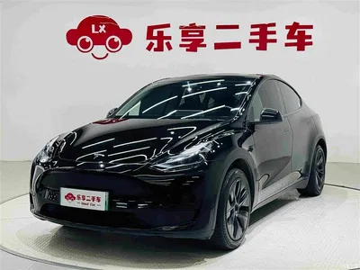 2024 Tesla Model Y Rear-Wheel Drive Version, фото 1, лот 11181095
