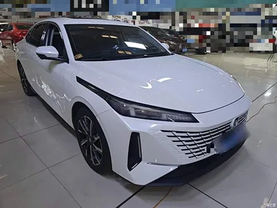2023 Changan Yida Blue Whale NE 1.5T GDI DCT Pilot, фото 4, лот 11174911