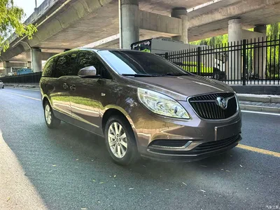 2018 Buick GL8, фото 3, лот 10242487