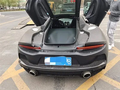 2019 McLaren GT 4.0T Standard, фото 3, лот 10321459