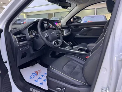 2021 Haval H6 National Trend Edition 1.5GDIT Automatic Champion Edition, фото 4, лот 10299822