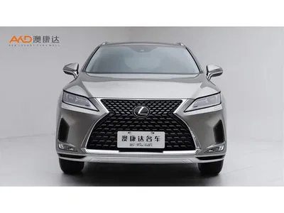2020 Lexus RX Facelift 300 2WD Comfort Edition, фото 2, лот 10314074