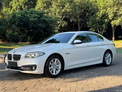 2014 BMW 5 Series (Import) 520i Classic, фото 1, лот 10474357