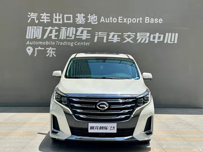 2020 GAC Trumpchi Trumpchi M8 Pilot 390T Flagship Edition, фото 2, лот 10414442