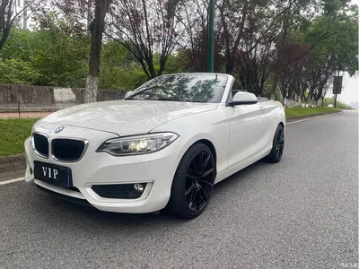 2015 BMW 2 Series (Import) 218i Convertible Coupe, фото 1, лот 11249135