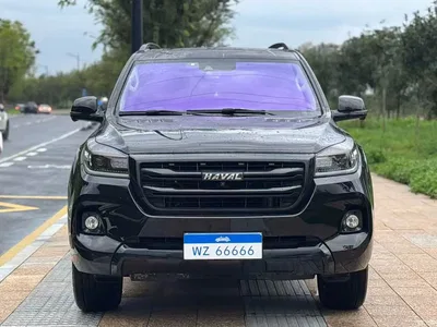 2020 Haval H9 2.0T Gasoline 4WD Premium 5-Seater, фото 2, лот 10296291