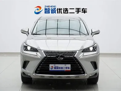 2020 Lexus NX 200 FWD Sharp Edition China VI, фото 2, лот 10316068