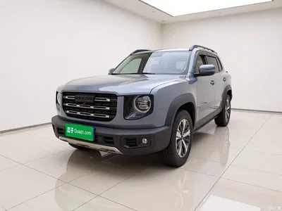 2022 Haval Big Dog 1.5T DCT FWD Labrador Edition, фото 1, лот 10361252