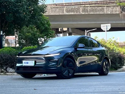 2025 Tesla Model Y Rear-Wheel Drive, фото 1, лот 10807760