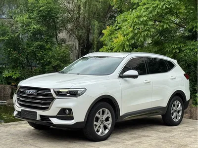 2021 Haval H6 National Trend Edition 1.5GDIT Automatic Champion Edition, фото 1, лот 10299470